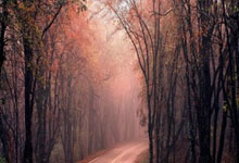 必赢：山东体育学院运动休闲学院与泰山七号马术俱乐部共建产教融合新高地.