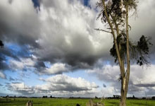 [国足]U17亚洲杯预选赛：巴林VS中国.